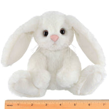 Load image into Gallery viewer, Lil' Whisker the White Bunny
