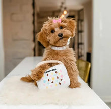 Load image into Gallery viewer, White Chewy Vuiton Purses ~ 3 Sizes to Choose From