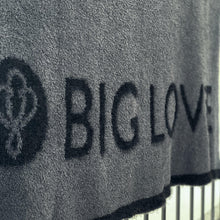 Load image into Gallery viewer, Dream Big Lovie Blanket