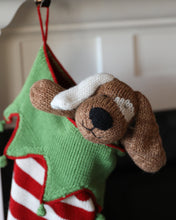 Load image into Gallery viewer, Brown Spotted Dog