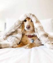 Load image into Gallery viewer, Mink Aspen Premium Blanket