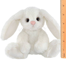 Load image into Gallery viewer, Lil' Whisker the White Bunny