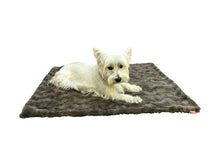 Load image into Gallery viewer, Bella Charcoal Grey Minkie Binkie Blanket