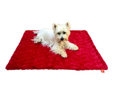 Load image into Gallery viewer, Medium Minkie Binkie Blanket ~Many Colors to Choose From - 30" x 36"