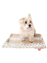 Load image into Gallery viewer, Sno Leopard Minkie Binkie Blanket