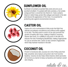 Load image into Gallery viewer, Natural Plant Based Body Wash- Lemon Sugar