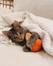 Load image into Gallery viewer, Cheese Wedge Organic Catnip Cat Toy