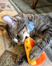 Load image into Gallery viewer, Cheese Wedge Organic Catnip Cat Toy