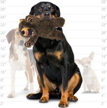 Load image into Gallery viewer, Mighty Angry Animals Bear