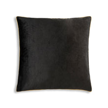 Load image into Gallery viewer, Noah Black Velvet Pillow Featuring Silver or Gold Piping