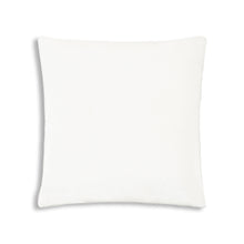 Load image into Gallery viewer, Noah White Velvet Pillow Featuring Silver Piping
