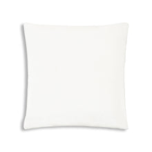Load image into Gallery viewer, Noah White Velvet Pillow Featuring Silver Piping