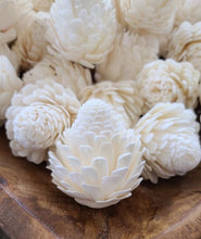 Load image into Gallery viewer, Sola Thistle (Set of 5)