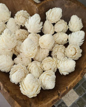 Load image into Gallery viewer, Sola Thistle (Set of 5)