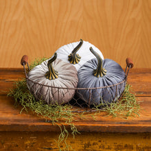 Load image into Gallery viewer, Velvet Pumpkins ~ Large