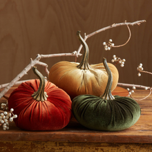 Load image into Gallery viewer, Velvet Pumpkins ~ Large