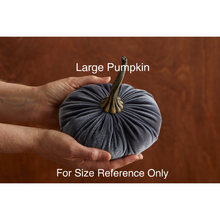 Load image into Gallery viewer, Velvet Pumpkins ~ Large