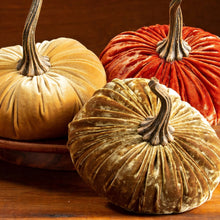Load image into Gallery viewer, Velvet Pumpkins ~ Large