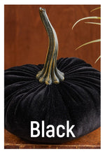 Load image into Gallery viewer, Velvet Pumpkins ~ Extra Large