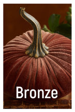Load image into Gallery viewer, Velvet Pumpkins ~ Extra Large