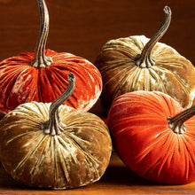 Load image into Gallery viewer, Velvet Pumpkins ~ Small