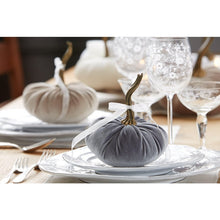 Load image into Gallery viewer, Velvet Pumpkins ~ Small