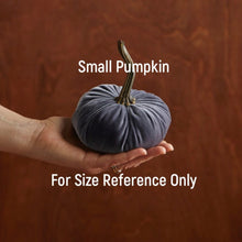 Load image into Gallery viewer, Velvet Pumpkins ~ Small