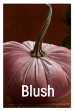 Load image into Gallery viewer, Velvet Pumpkins ~ Extra Large
