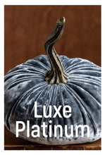 Load image into Gallery viewer, Velvet Pumpkins ~ Large