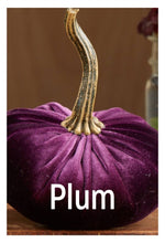 Load image into Gallery viewer, Velvet Pumpkins ~ Extra Large