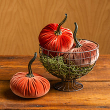 Load image into Gallery viewer, Velvet Pumpkins ~ Small