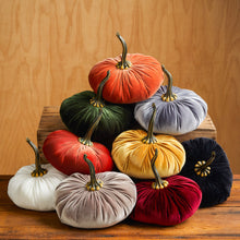 Load image into Gallery viewer, Velvet Pumpkins ~ Extra Large