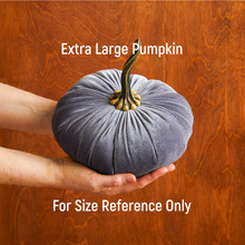Load image into Gallery viewer, Velvet Pumpkins ~ Extra Large