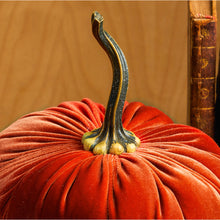 Load image into Gallery viewer, Velvet Pumpkins ~ Extra Large