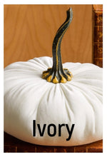 Load image into Gallery viewer, Velvet Pumpkins ~ Extra Large