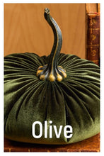 Load image into Gallery viewer, Velvet Pumpkins ~ Extra Large