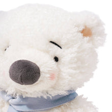 Load image into Gallery viewer, Boris The Polar Bear
