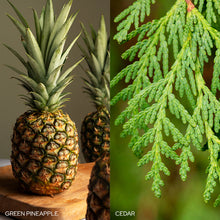 Load image into Gallery viewer, Fresh Balsam Fir Candle
