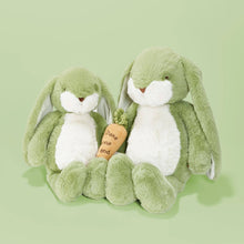 Load image into Gallery viewer, ❤️SALE - Sweet 16" Nibble Bunny – Pistachio
