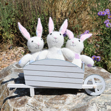 Load image into Gallery viewer, Bunnies with Pastel Spots ~ Set of 3
