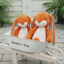 Load image into Gallery viewer, ❤️SALE - Little 12" Nibble Bunny - Carrot

