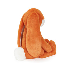 Load image into Gallery viewer, ❤️SALE - Little 12" Nibble Bunny - Carrot
