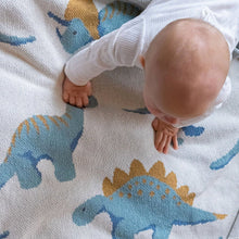 Load image into Gallery viewer, Baby Dinosaur Blanket ~ Light Blue or Green

