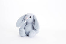 Load image into Gallery viewer, Snuggle Plush Bunny ~ Blue
