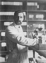 Load image into Gallery viewer, Cotton Sustainable Knit Floral Throw Blanket - Floréal 7 by E.A. Seguy
