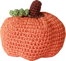 Load image into Gallery viewer, Fall Group ~ Knit Knacks Organic Cotton Dog Toys
