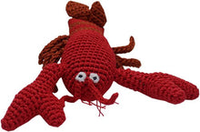 Load image into Gallery viewer, Ocean Buddies Group ~ Knit Knacks Organic Cotton Dog Toys
