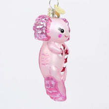 Load and play video in Gallery viewer, Axolotl With Candy Cane Ornament
