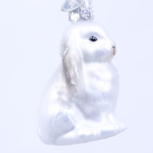 Load and play video in Gallery viewer, White Baby Bunny Ornament

