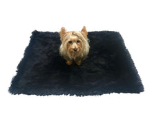 Load image into Gallery viewer, Large Powder Puff Blanket in Black
